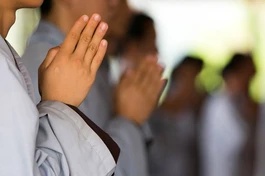 Phật tử là con của Phật, người đã phát tâm quy y Tam bảo, là tín đồ của Phật giáo...